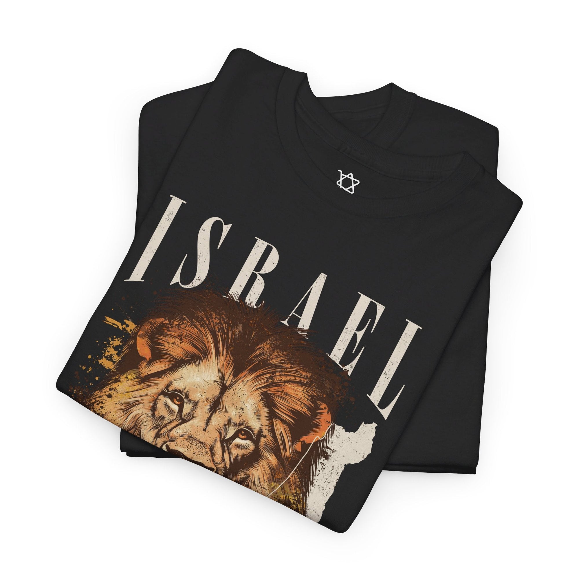 Israel I Stand With You Lion T - Shirt - Shop Israel