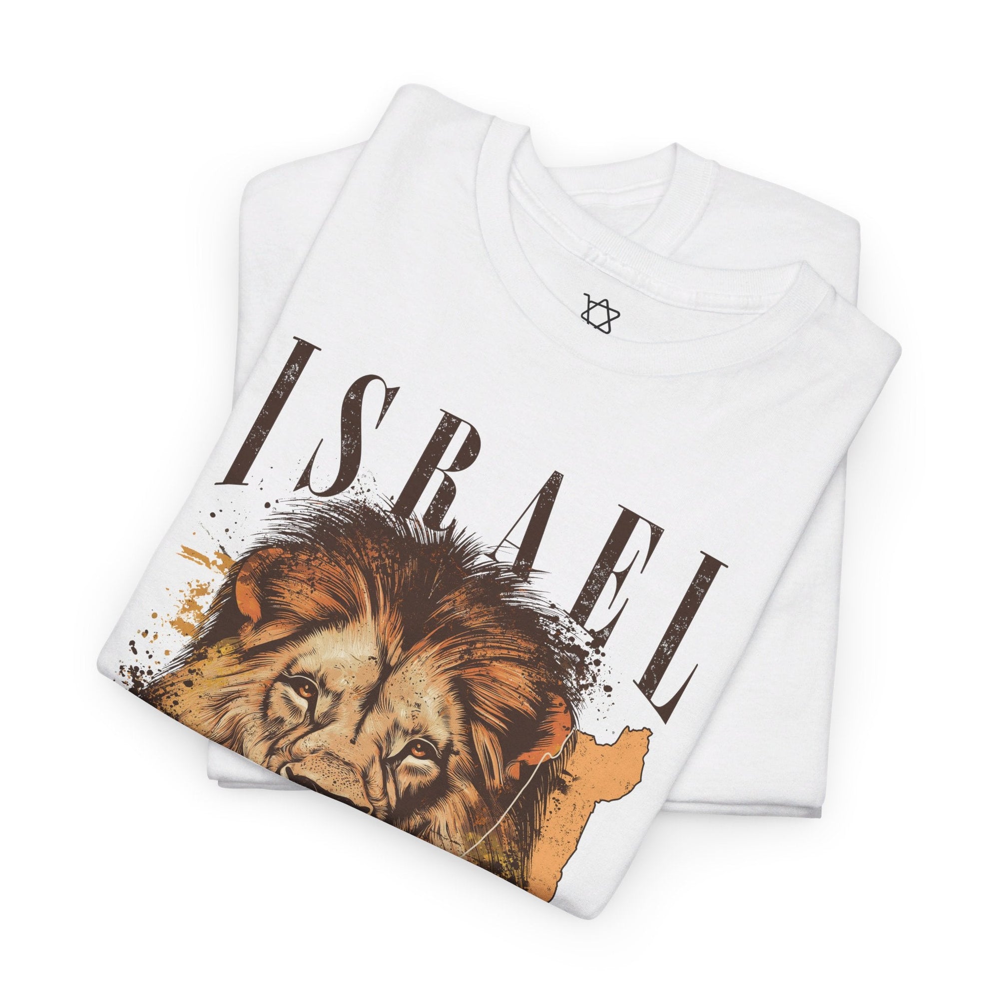 Israel I Stand With You Lion T - Shirt - Shop Israel