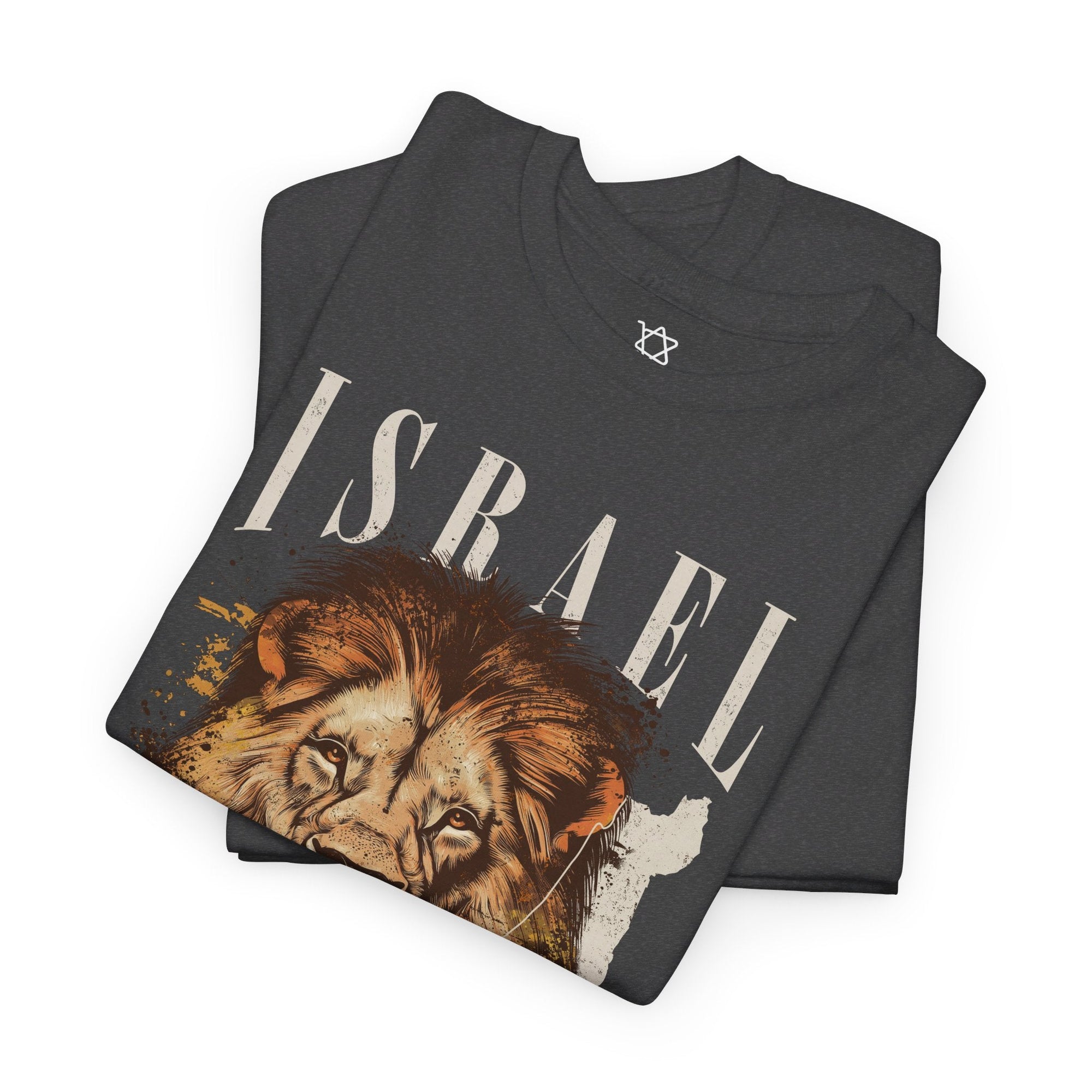 Israel I Stand With You Lion T - Shirt - Shop Israel