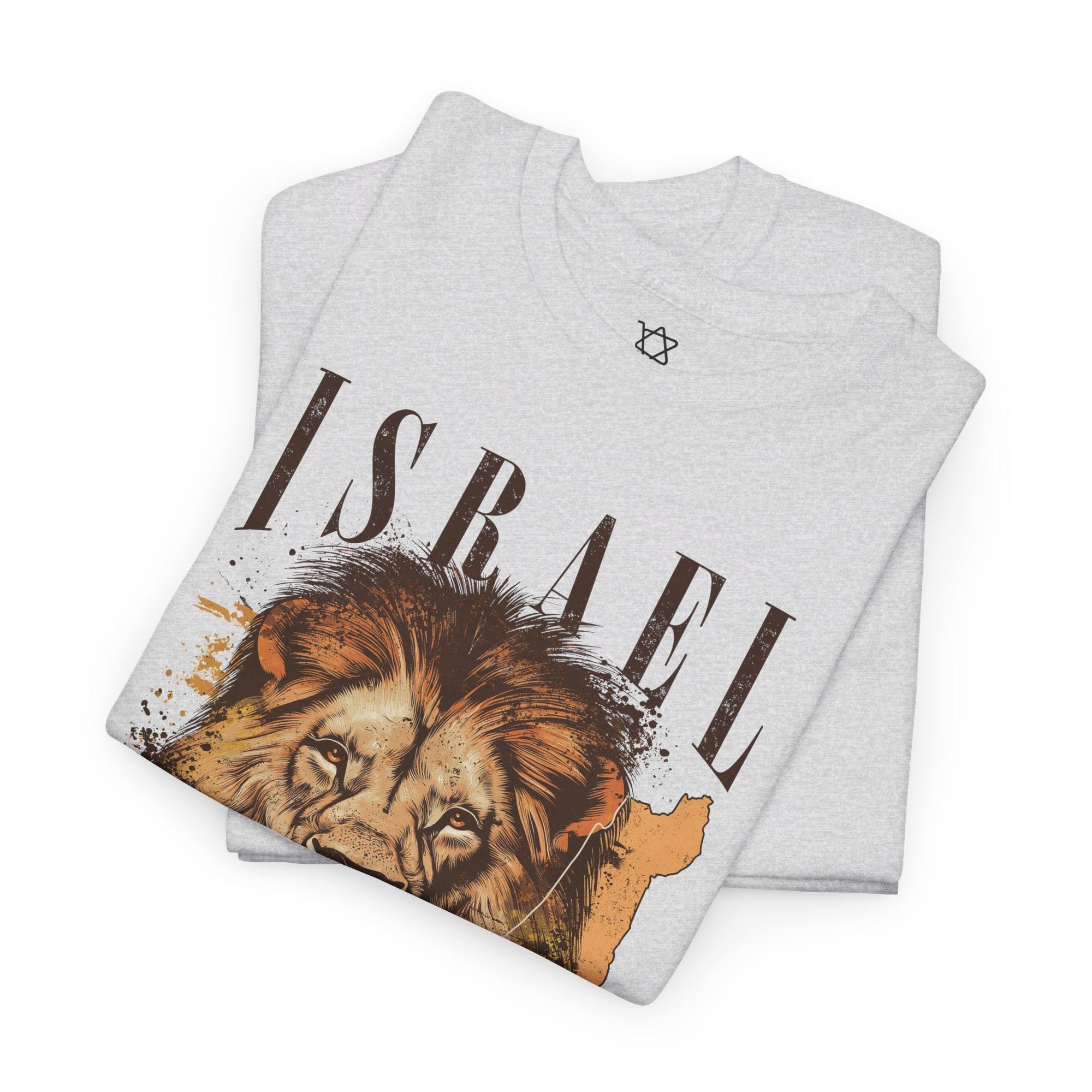 Israel I Stand With You Lion T - Shirt - Shop Israel