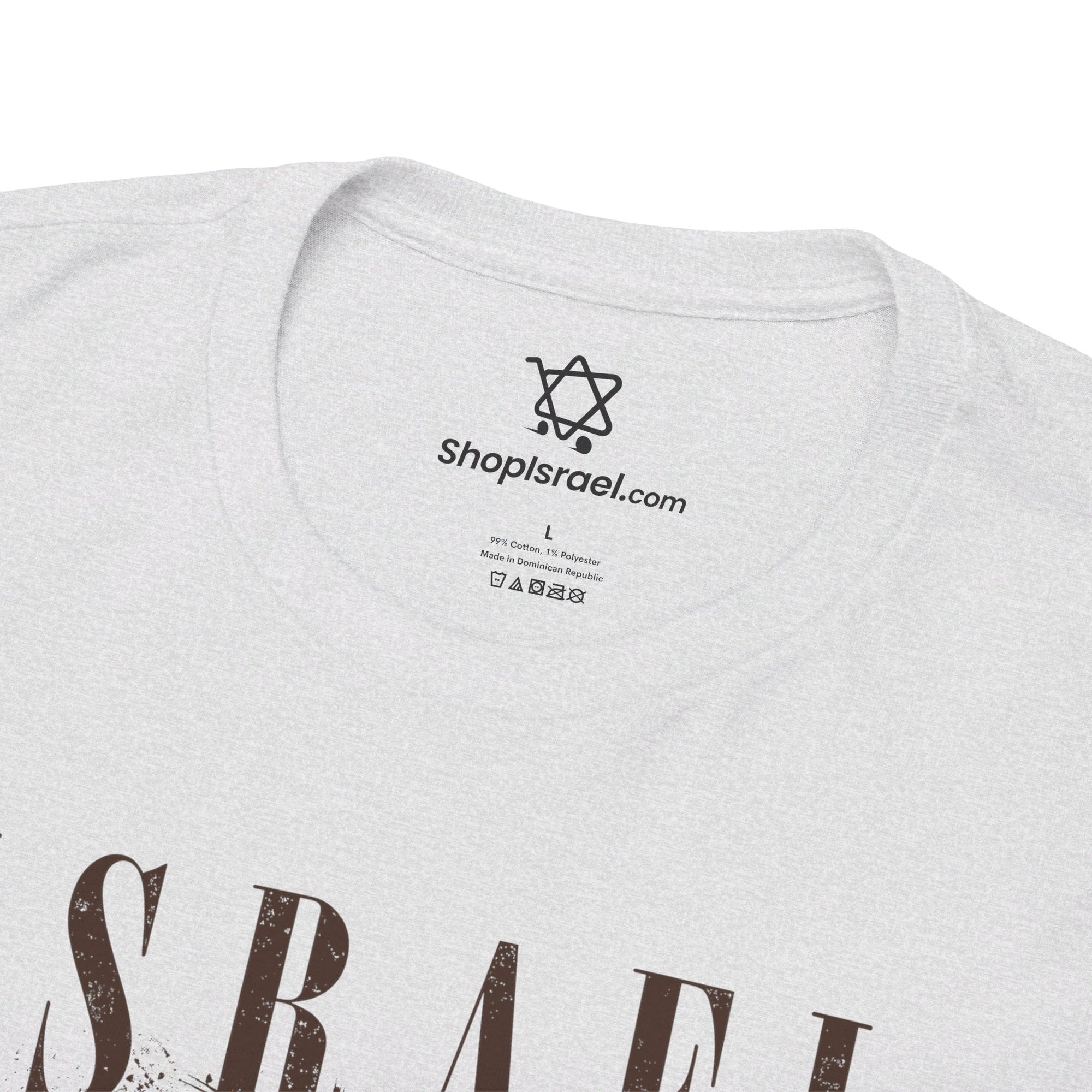 Israel I Stand With You Lion T - Shirt - Shop Israel