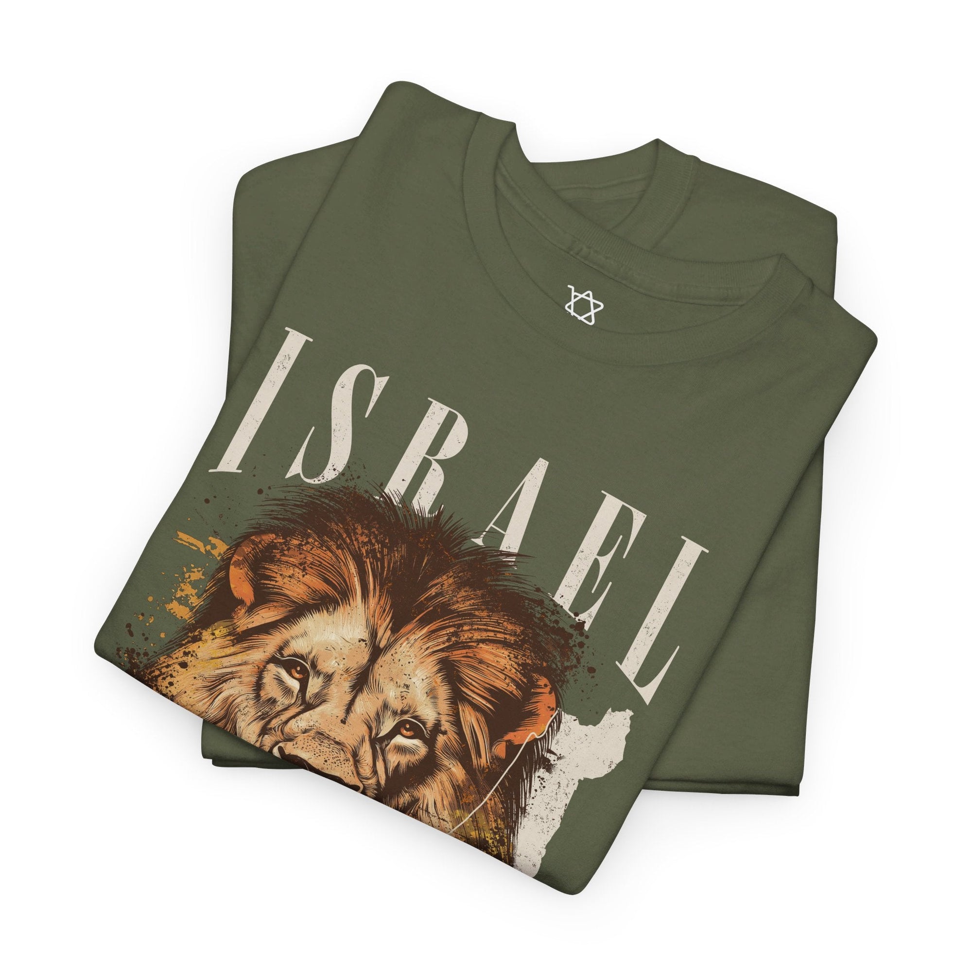 Israel I Stand With You Lion T - Shirt - Shop Israel