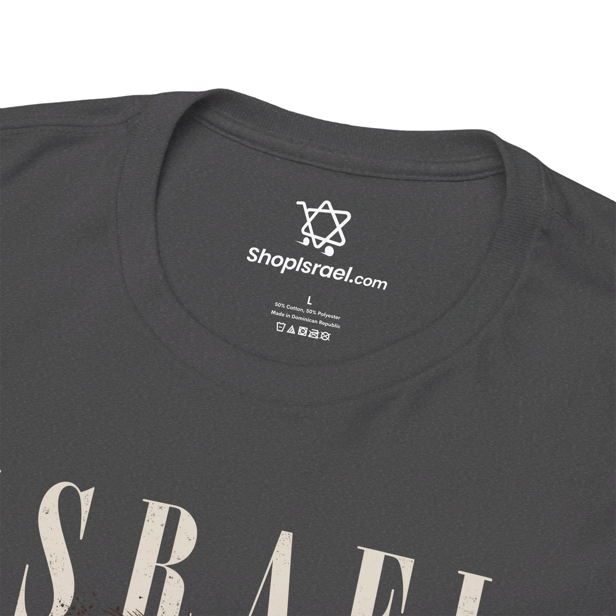 Israel I Stand With You Lion T - Shirt - Shop Israel