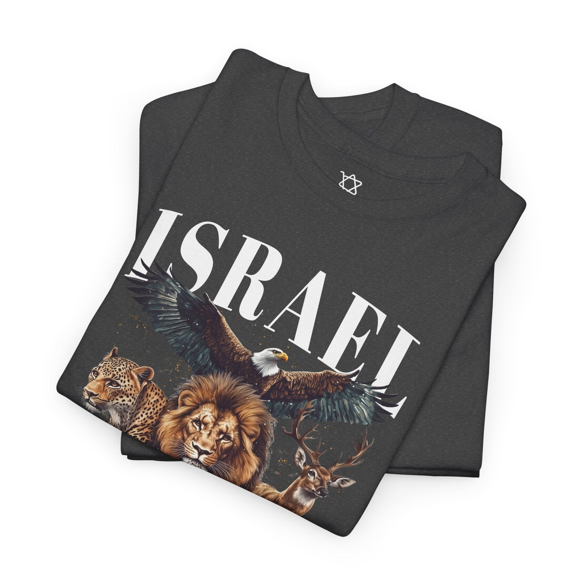 Israel Pirkei Avot T-Shirt - Shop Israel