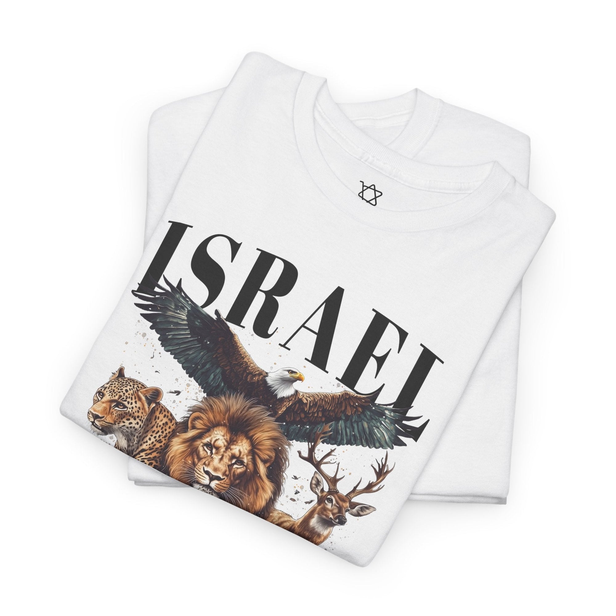 Israel Pirkei Avot T-Shirt - Shop Israel