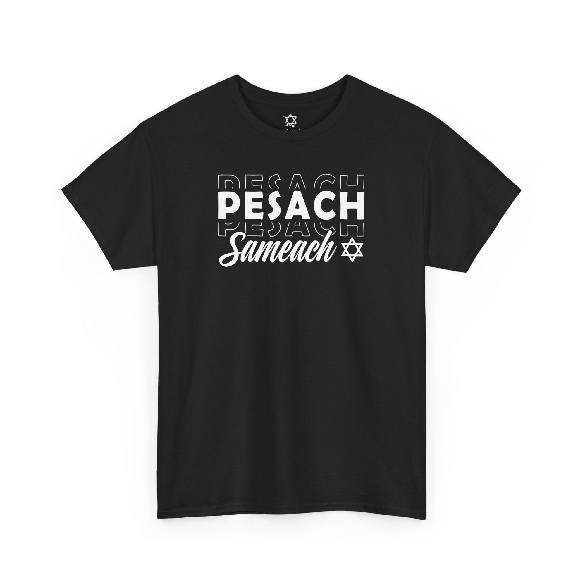 Pesach Sameach T-Shirt - Shop Israel