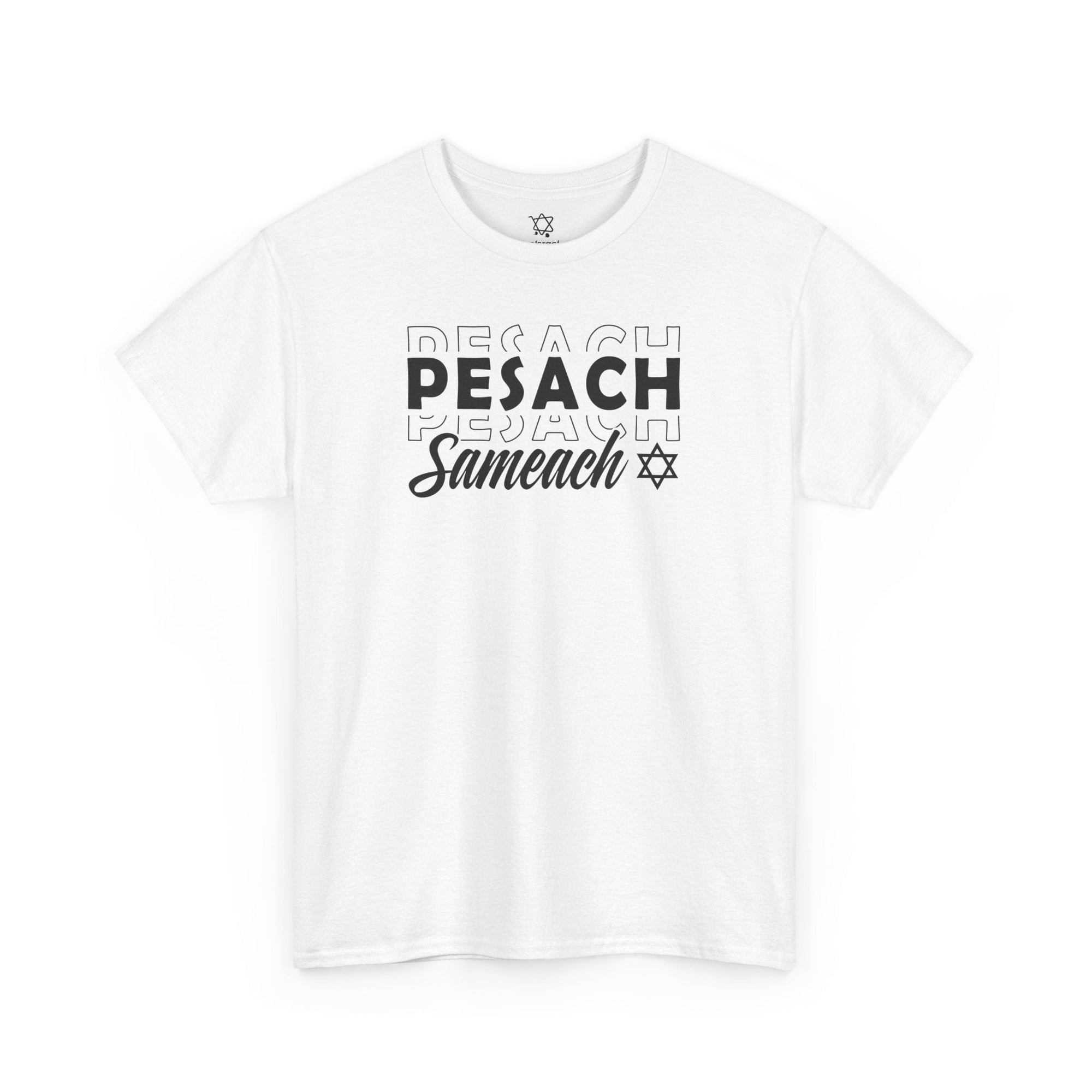 Pesach Sameach T-Shirt - Shop Israel