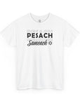 Pesach Sameach T-Shirt - Shop Israel