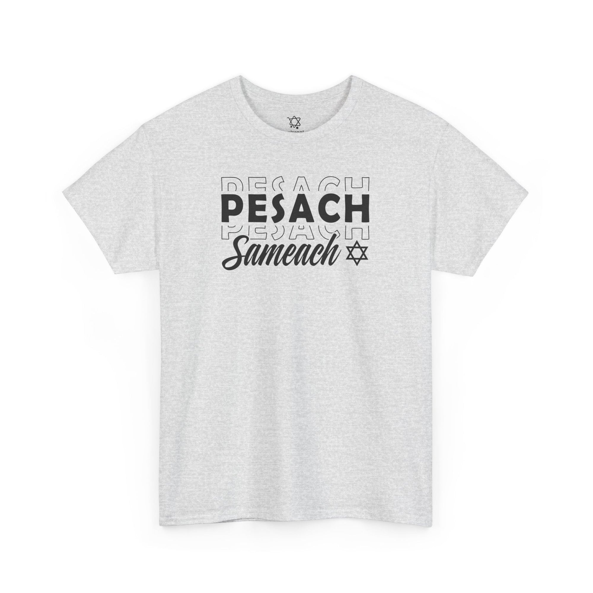 Pesach Sameach T-Shirt - Shop Israel