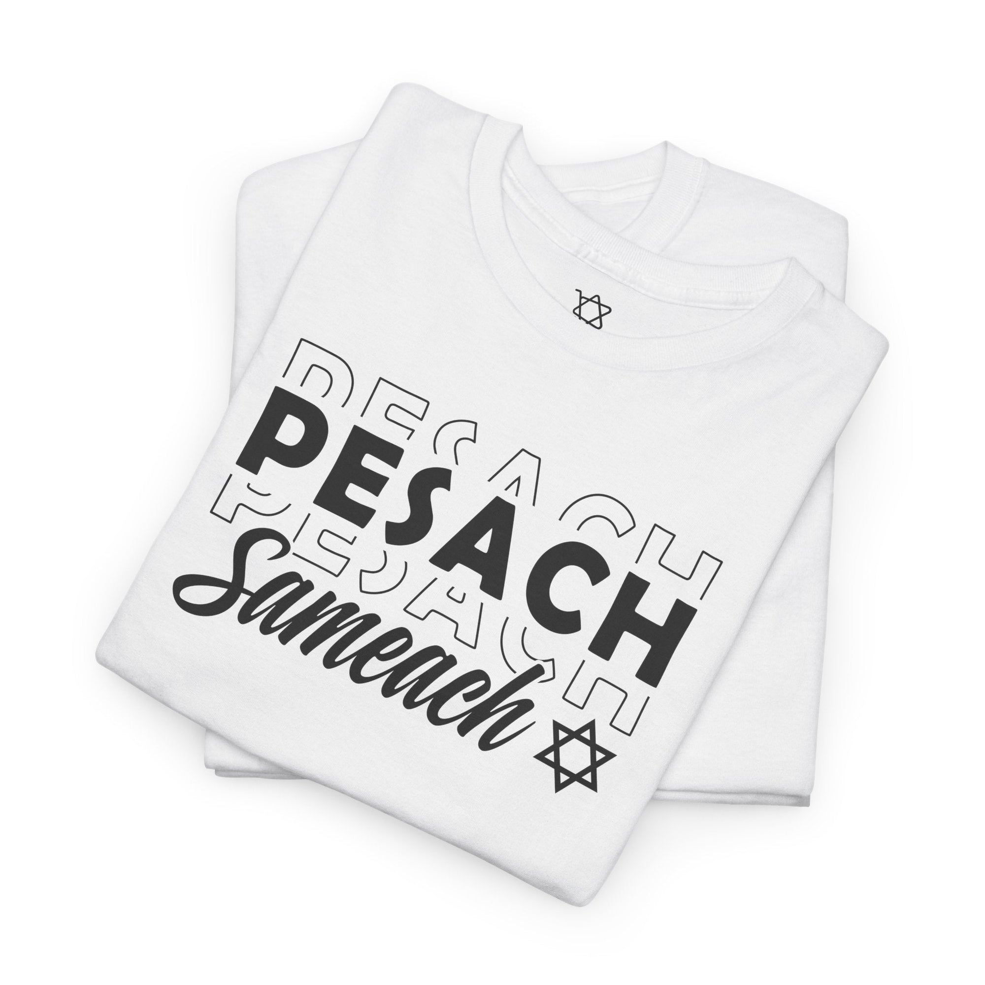 Pesach Sameach T-Shirt - Shop Israel