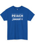 Pesach Sameach T-Shirt - Shop Israel