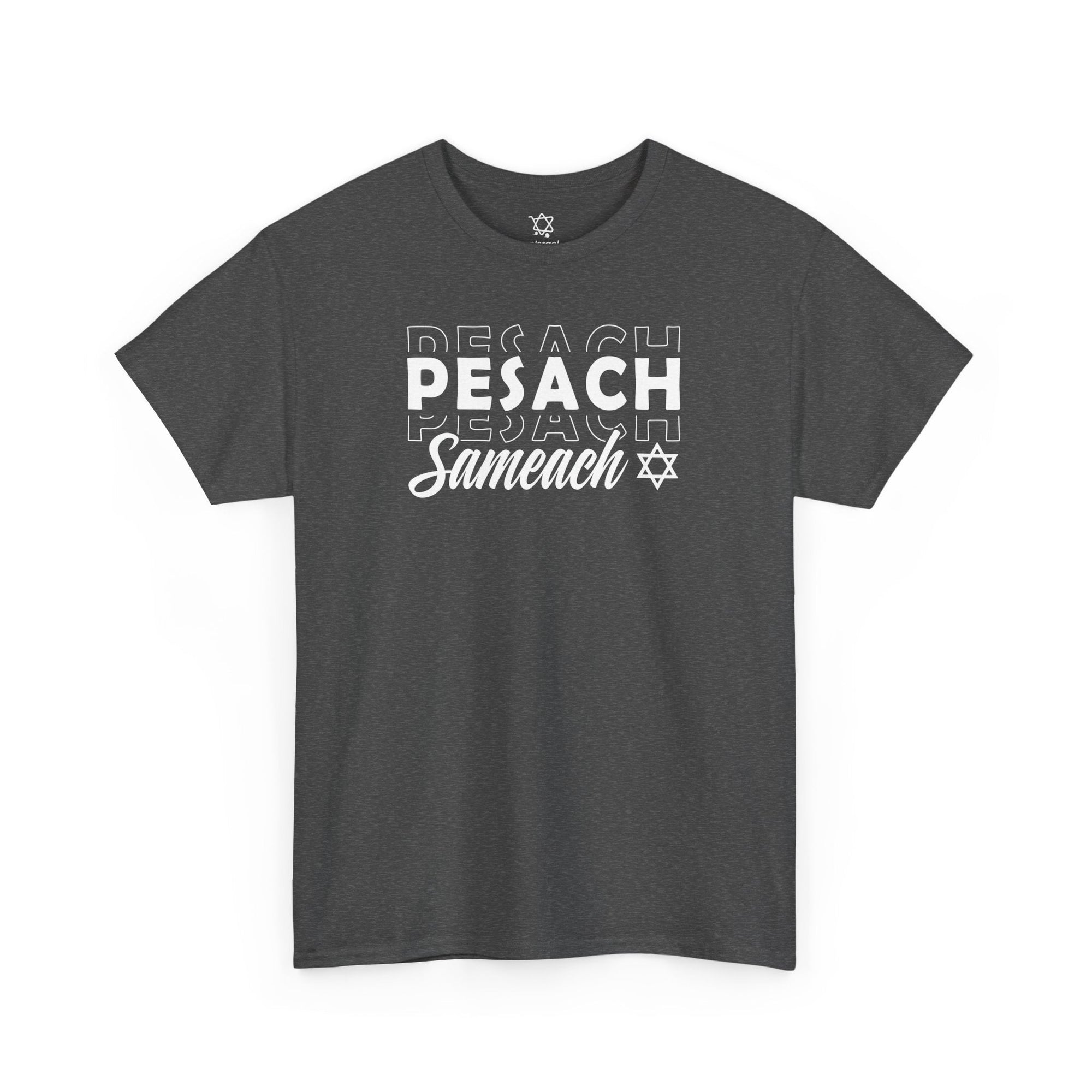 Pesach Sameach T-Shirt - Shop Israel