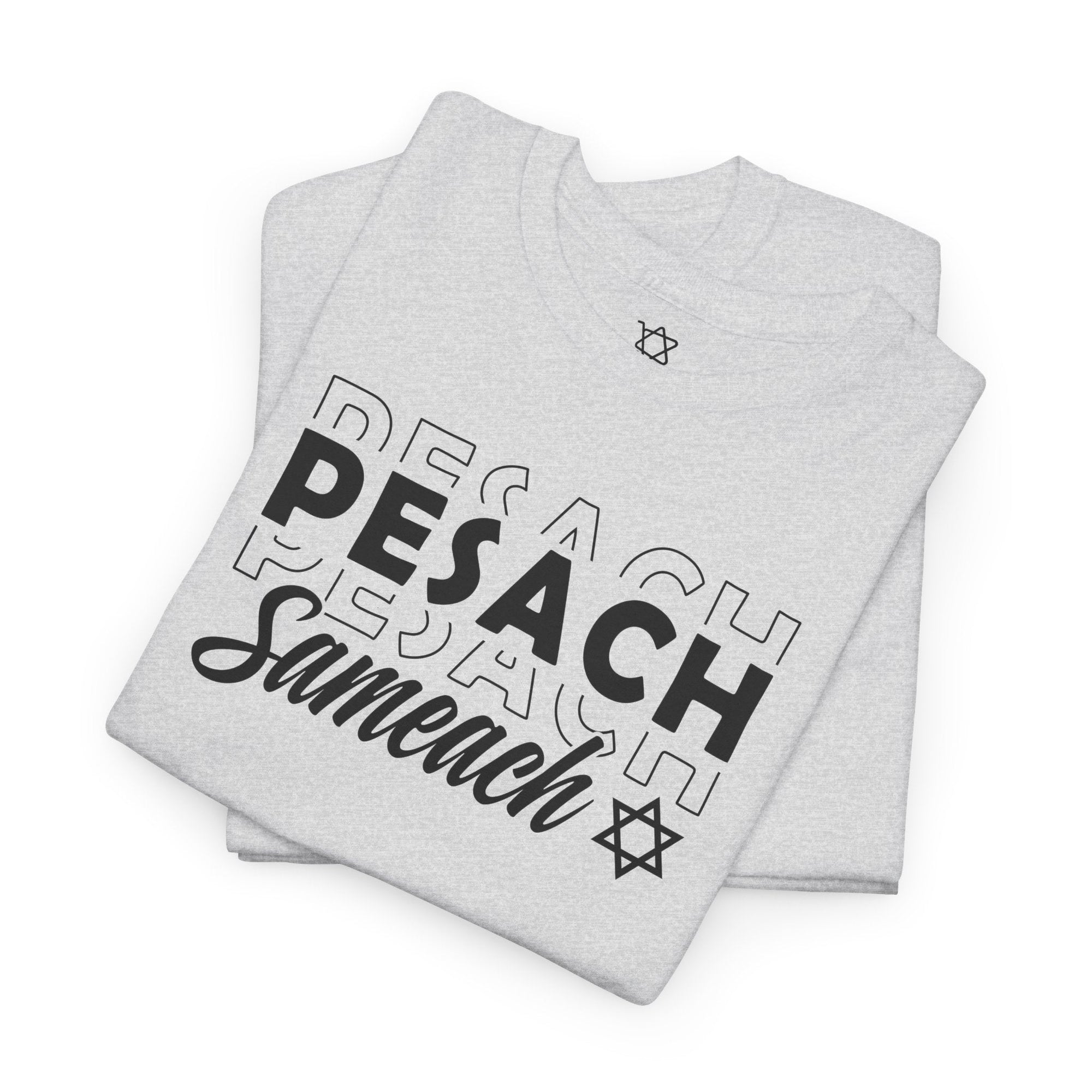 Pesach Sameach T-Shirt - Shop Israel