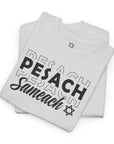 Pesach Sameach T-Shirt - Shop Israel