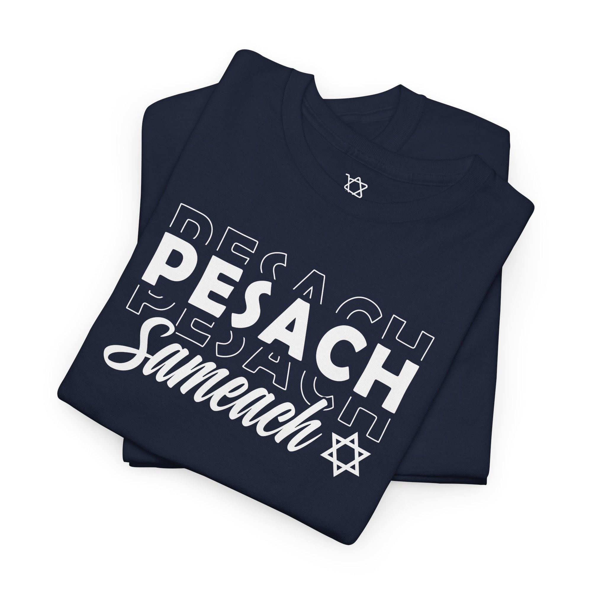 Pesach Sameach T-Shirt - Shop Israel