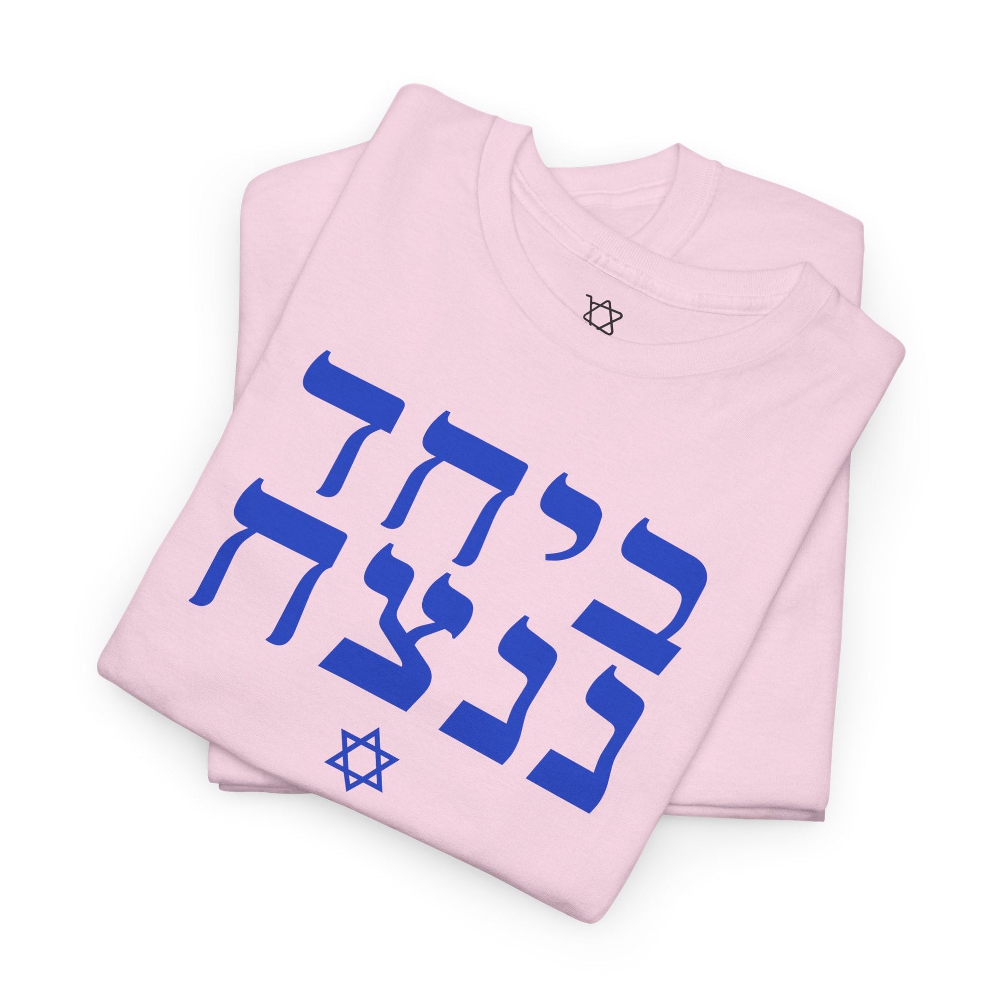 Together We Will Win T-Shirt - Shop Israel