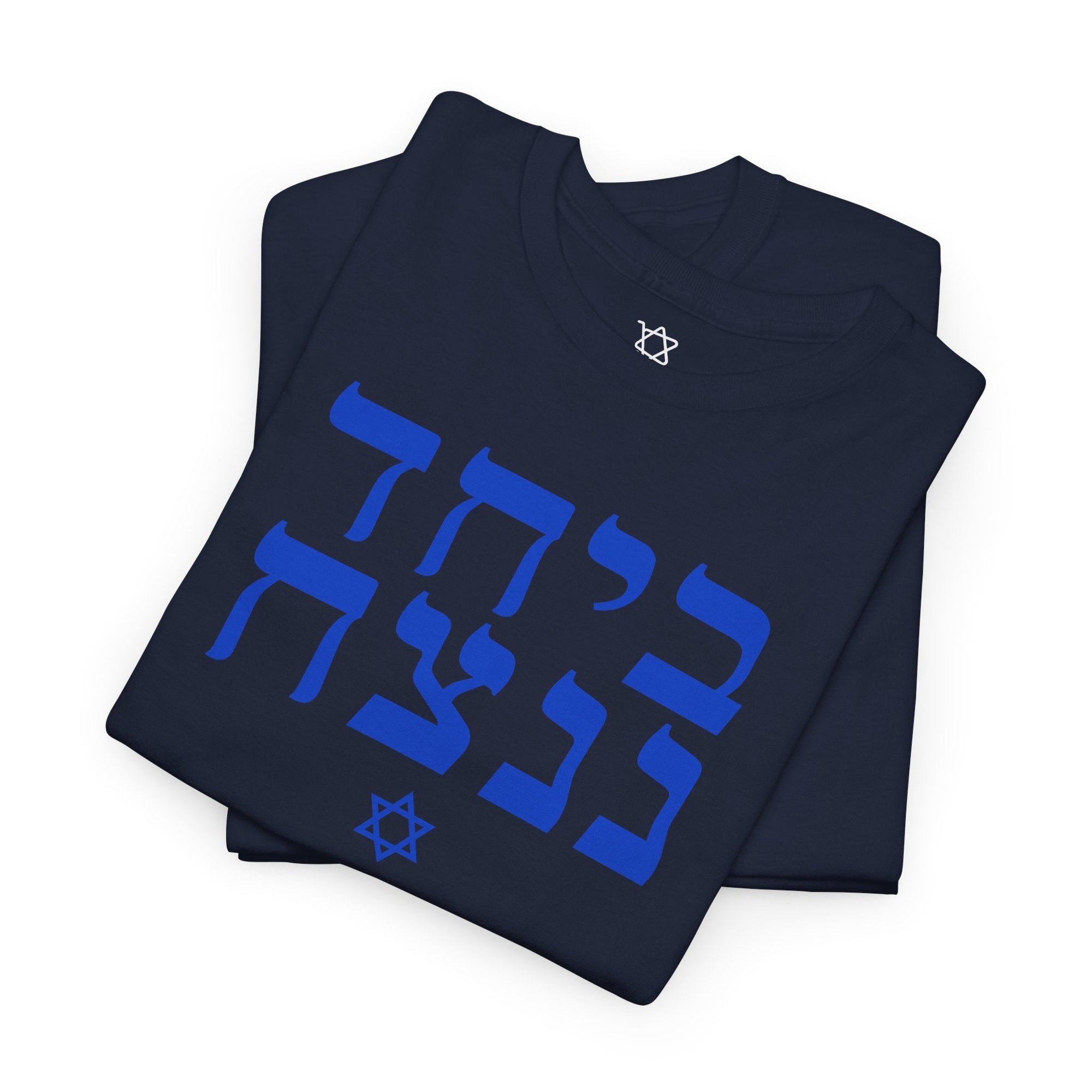 Together We Will Win T-Shirt - Shop Israel