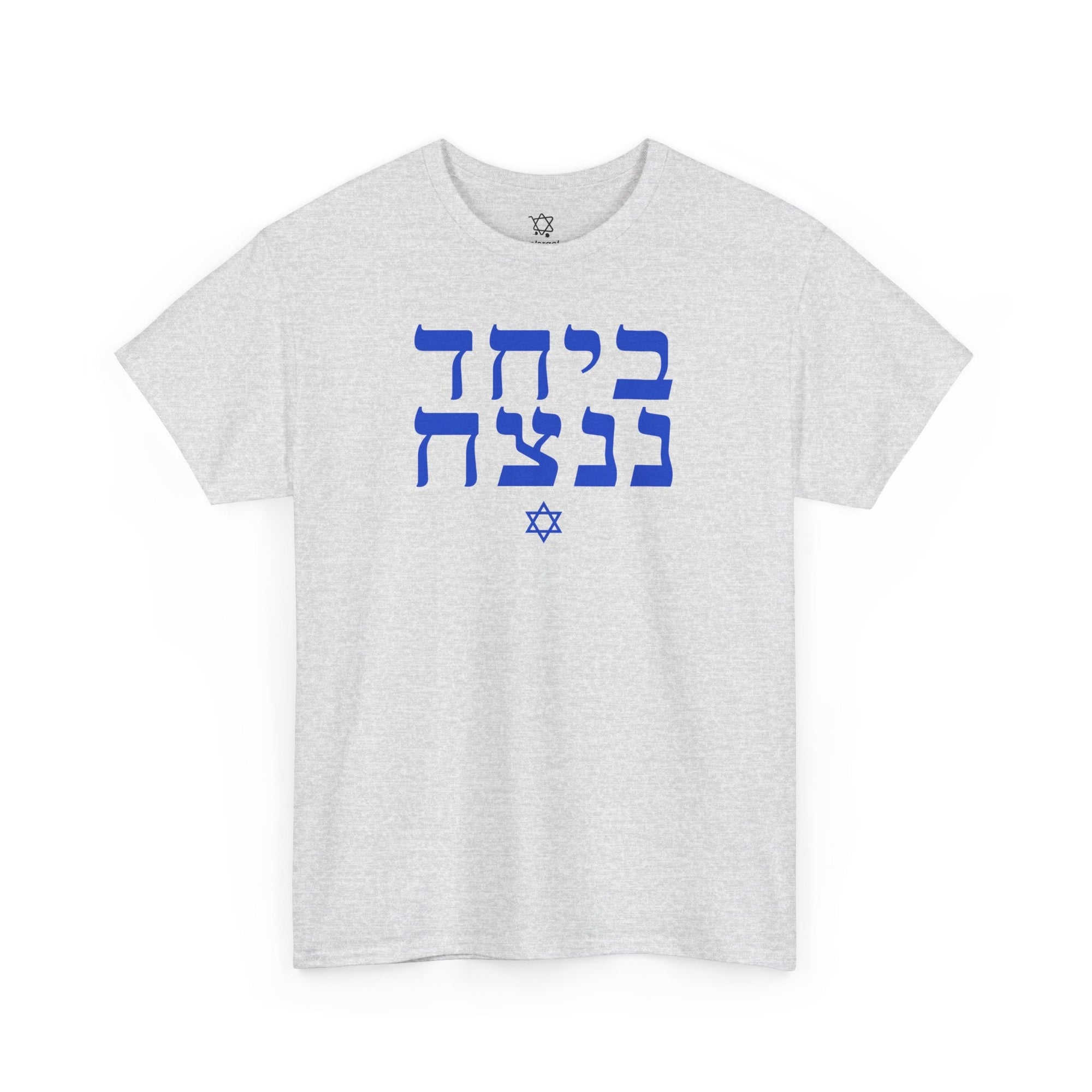 Together We Will Win T-Shirt - Shop Israel