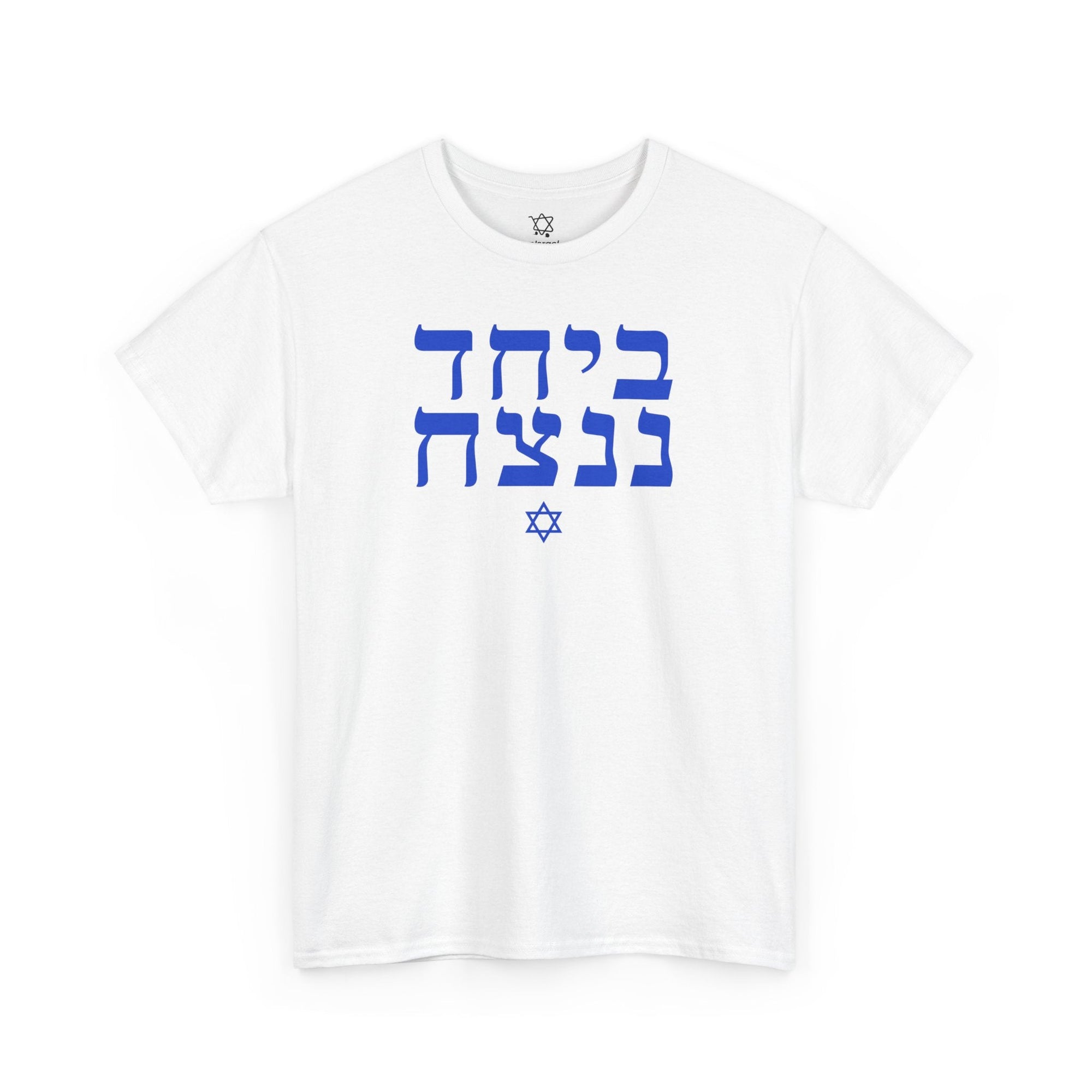 Together We Will Win T-Shirt - Shop Israel