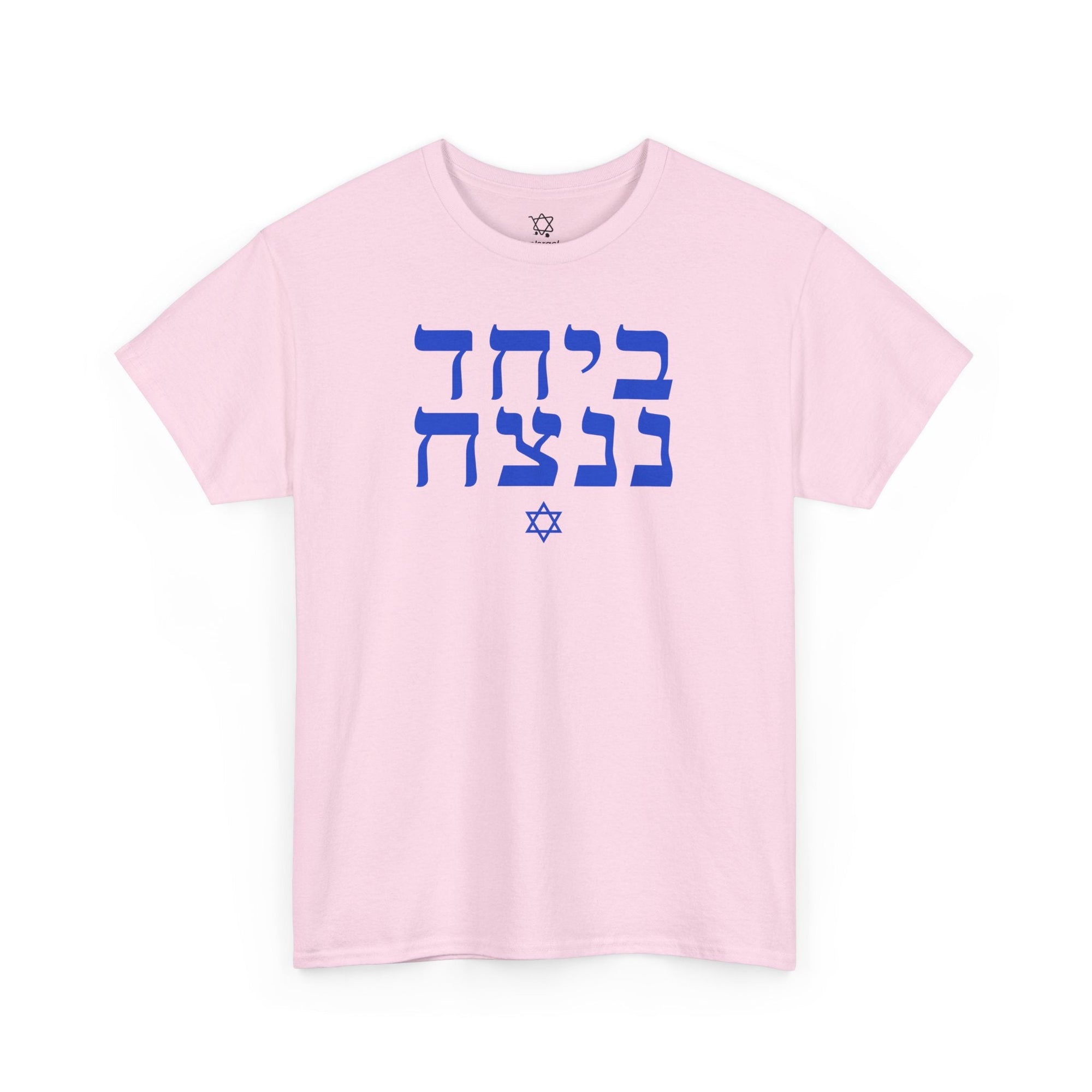 Together We Will Win T-Shirt - Shop Israel