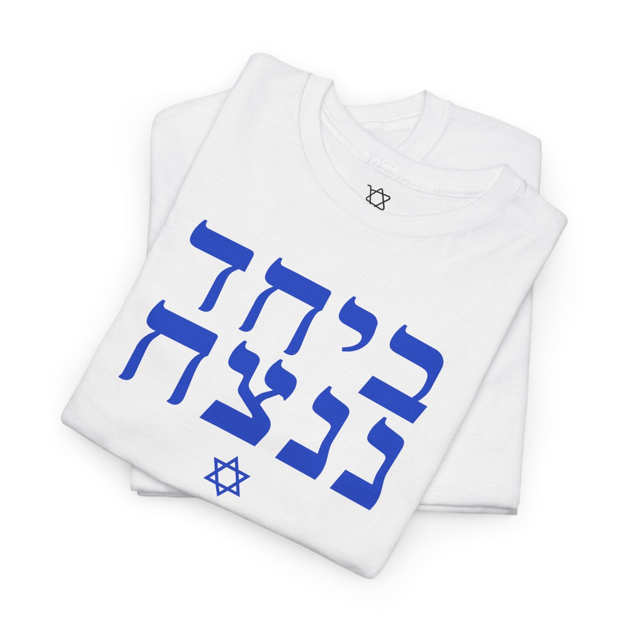 Together We Will Win T-Shirt - Shop Israel