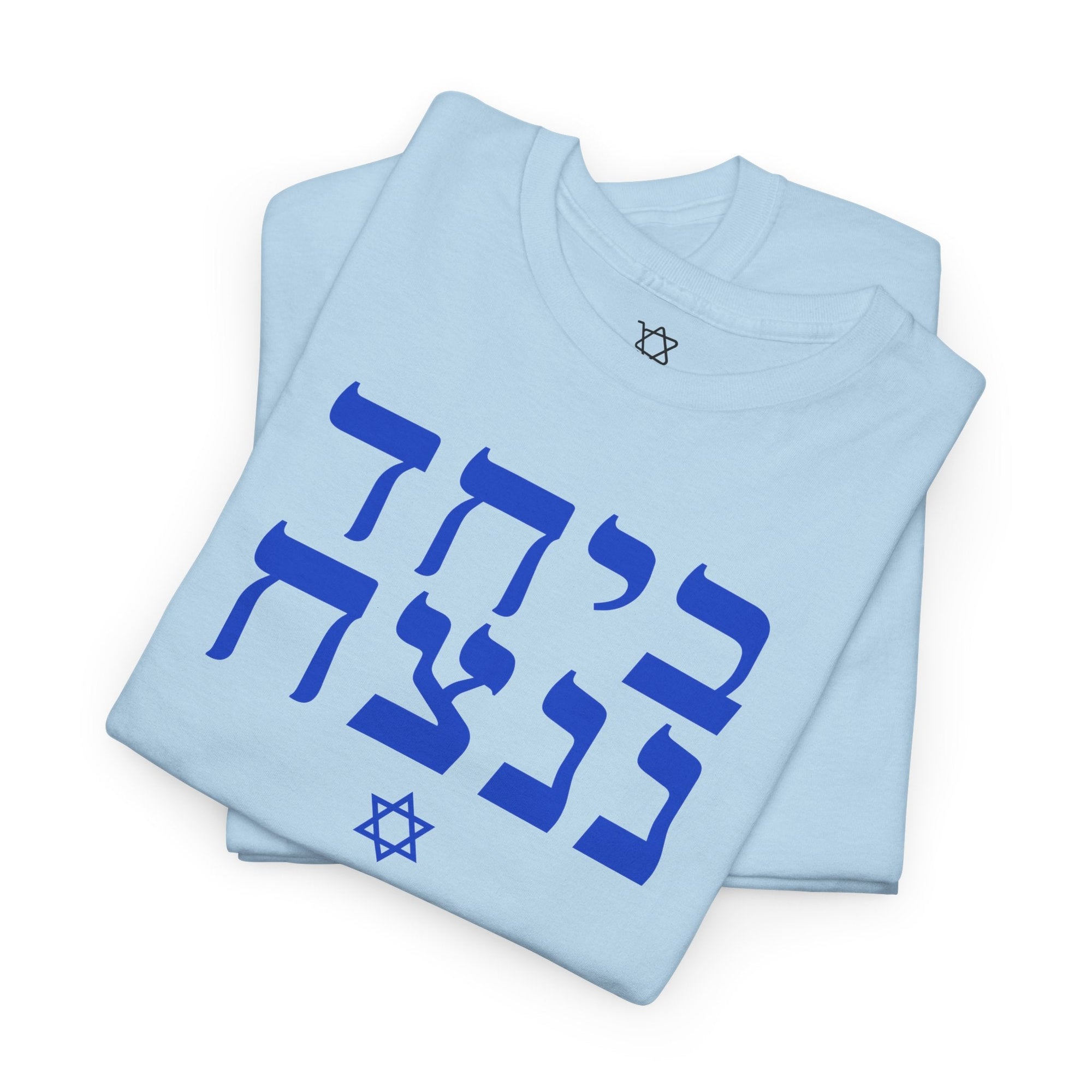 Together We Will Win T-Shirt - Shop Israel