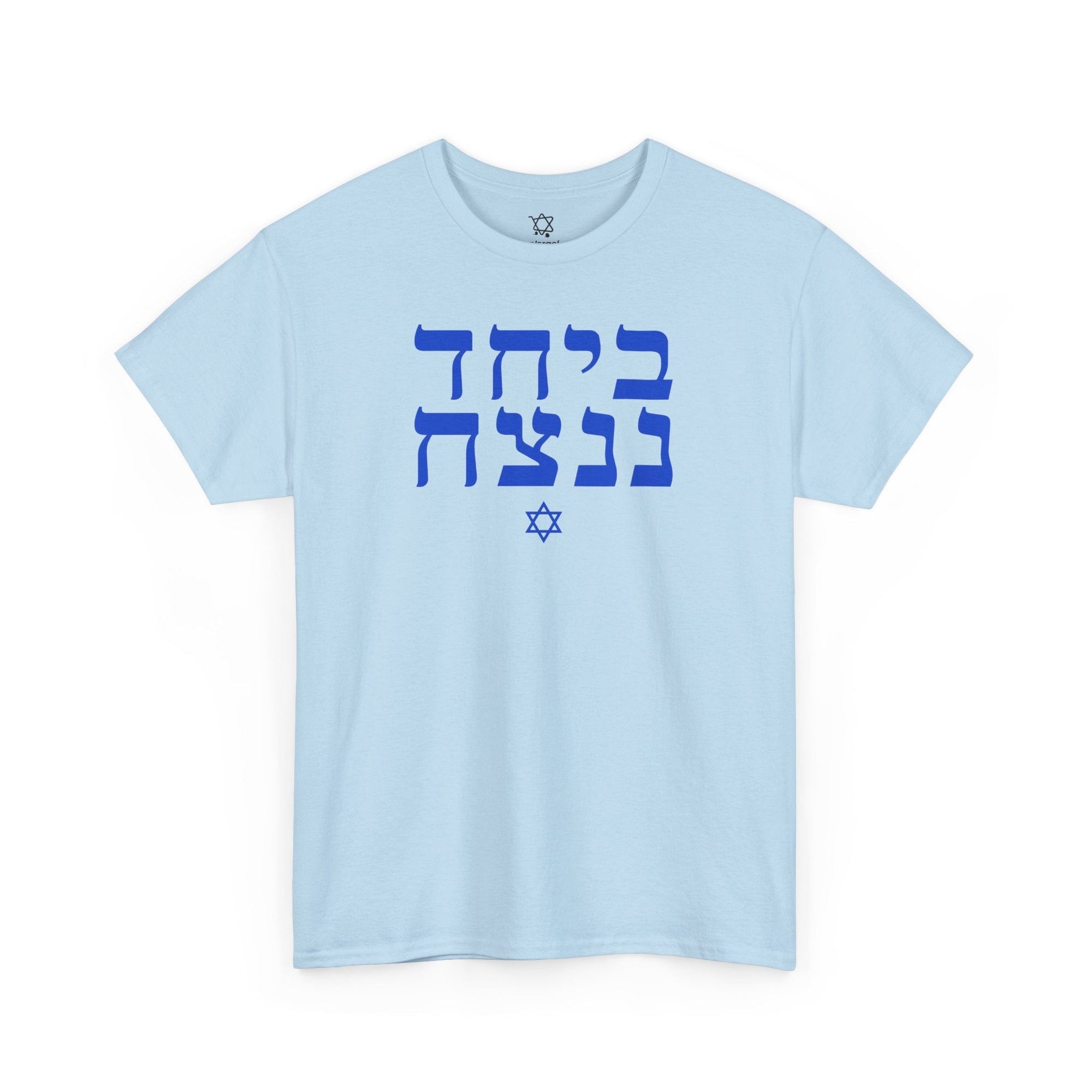 Together We Will Win T-Shirt - Shop Israel