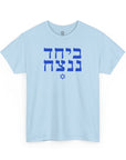 Together We Will Win T-Shirt - Shop Israel