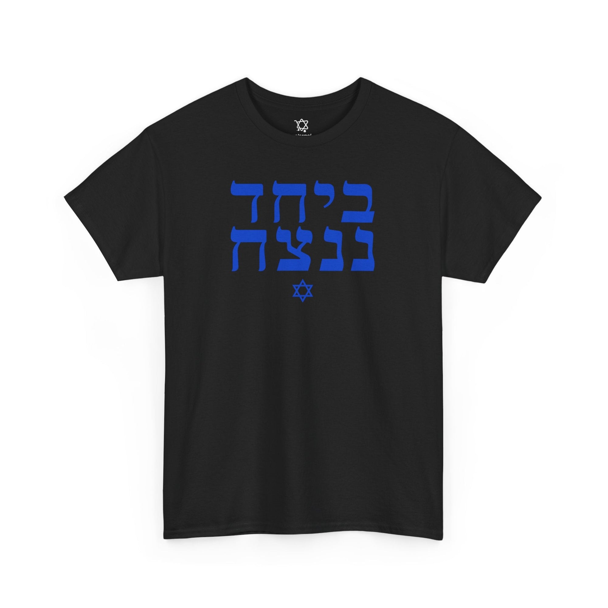 Together We Will Win T-Shirt - Shop Israel