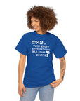 Why is This Shirt Different Passover T-Shirt - Shop Israel