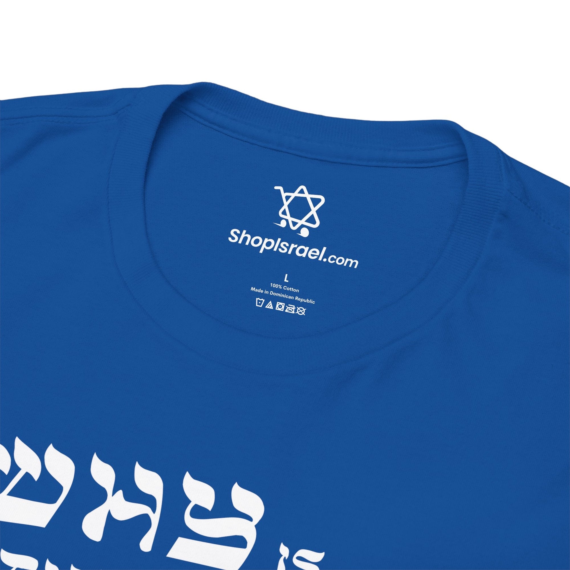 Why is This Shirt Different Passover T-Shirt - Shop Israel