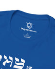 Why is This Shirt Different Passover T-Shirt - Shop Israel