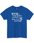 Why is This Shirt Different Passover T-Shirt - Shop Israel