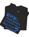 Why is This Shirt Different Passover T-Shirt - Shop Israel