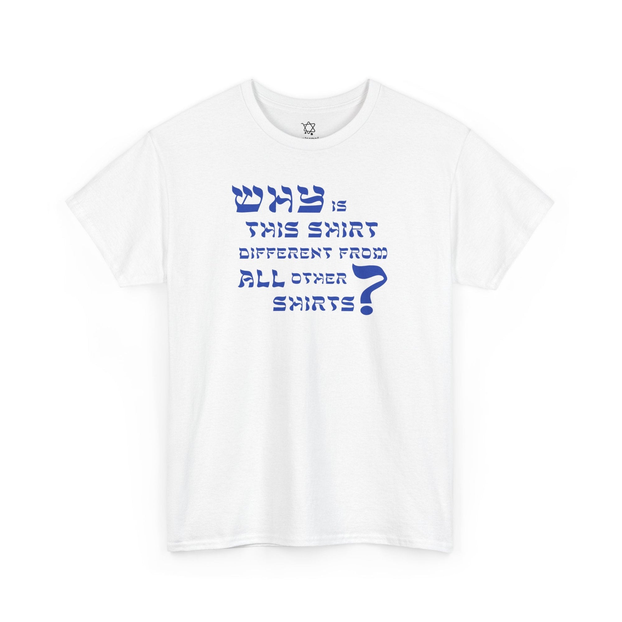 Why is This Shirt Different Passover T-Shirt - Shop Israel