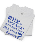 Why is This Shirt Different Passover T-Shirt - Shop Israel