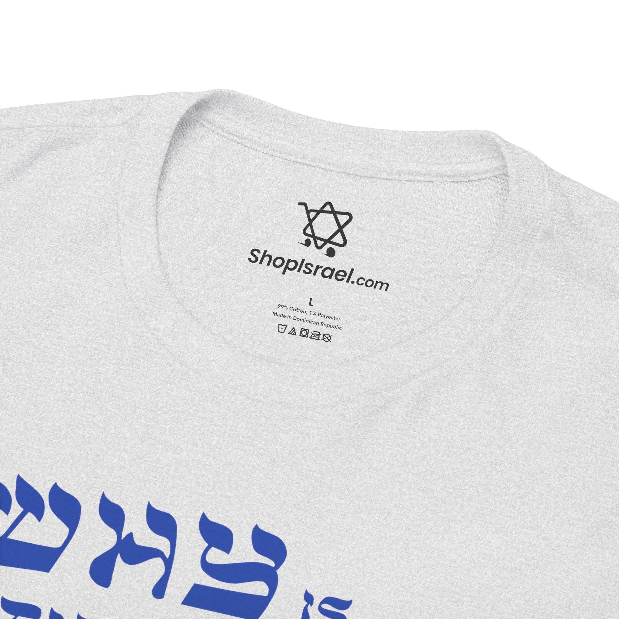 Why is This Shirt Different Passover T-Shirt - Shop Israel