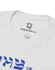 Why is This Shirt Different Passover T-Shirt - Shop Israel