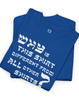 Why is This Shirt Different Passover T-Shirt - Shop Israel