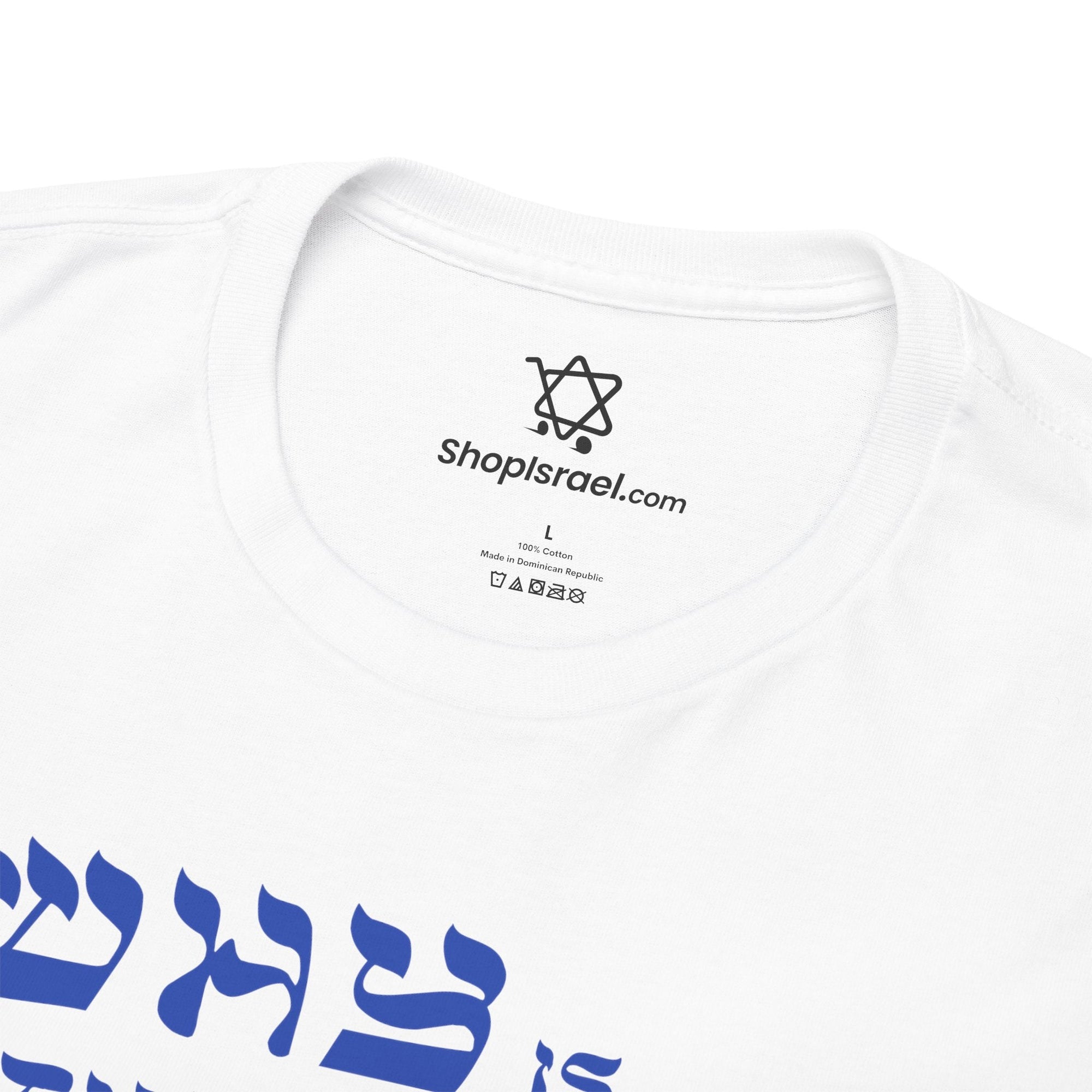 Why is This Shirt Different Passover T-Shirt - Shop Israel