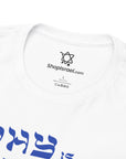 Why is This Shirt Different Passover T-Shirt - Shop Israel