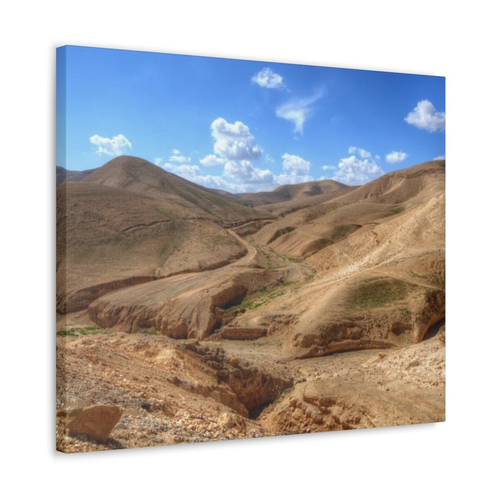 Judaean Desert Premium Canvas - Shop Israel