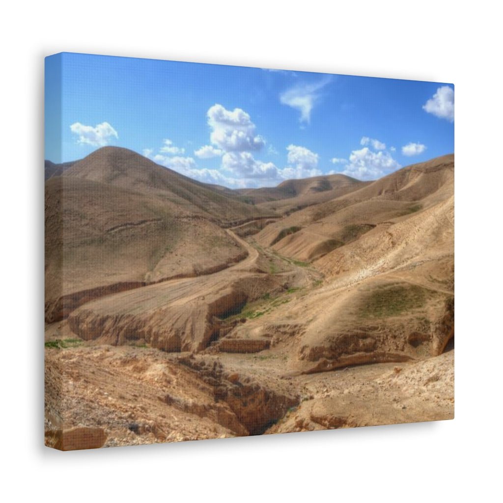 Judaean Desert Premium Canvas - Shop Israel