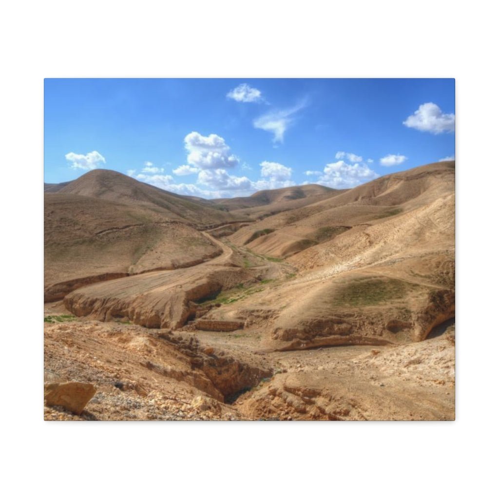 Judaean Desert Premium Canvas - Shop Israel