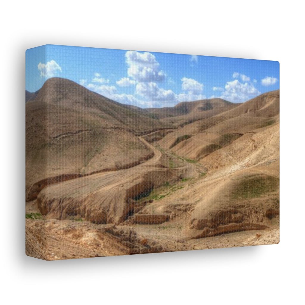 Judaean Desert Premium Canvas - Shop Israel