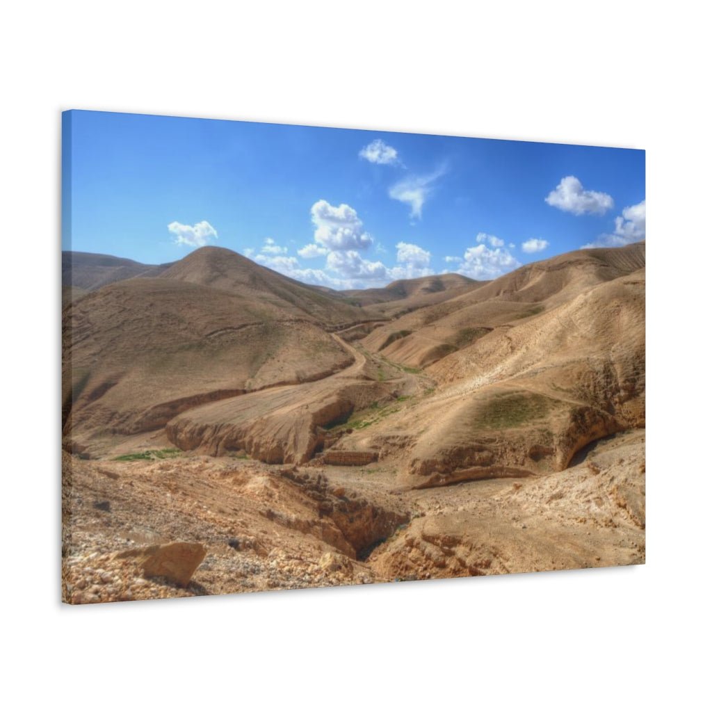 Judaean Desert Premium Canvas - Shop Israel