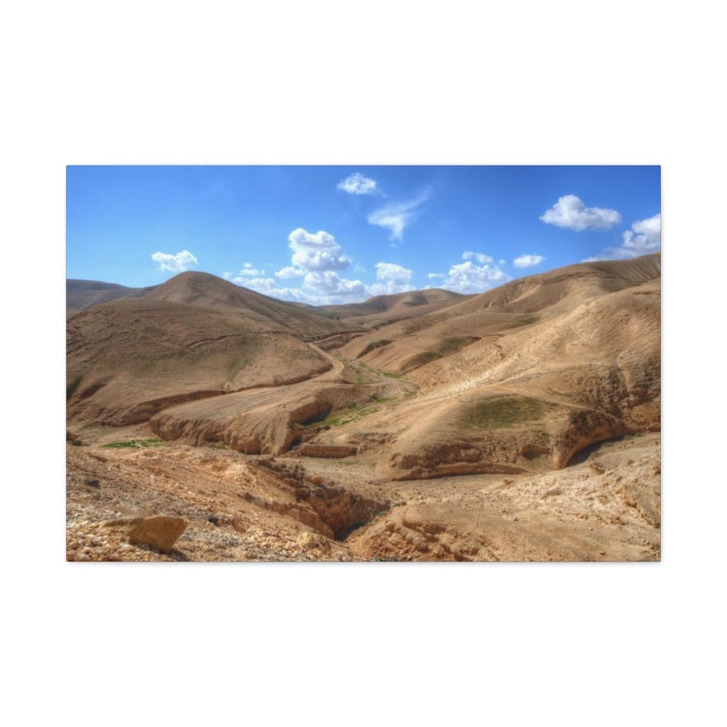 Judaean Desert Premium Canvas - Shop Israel