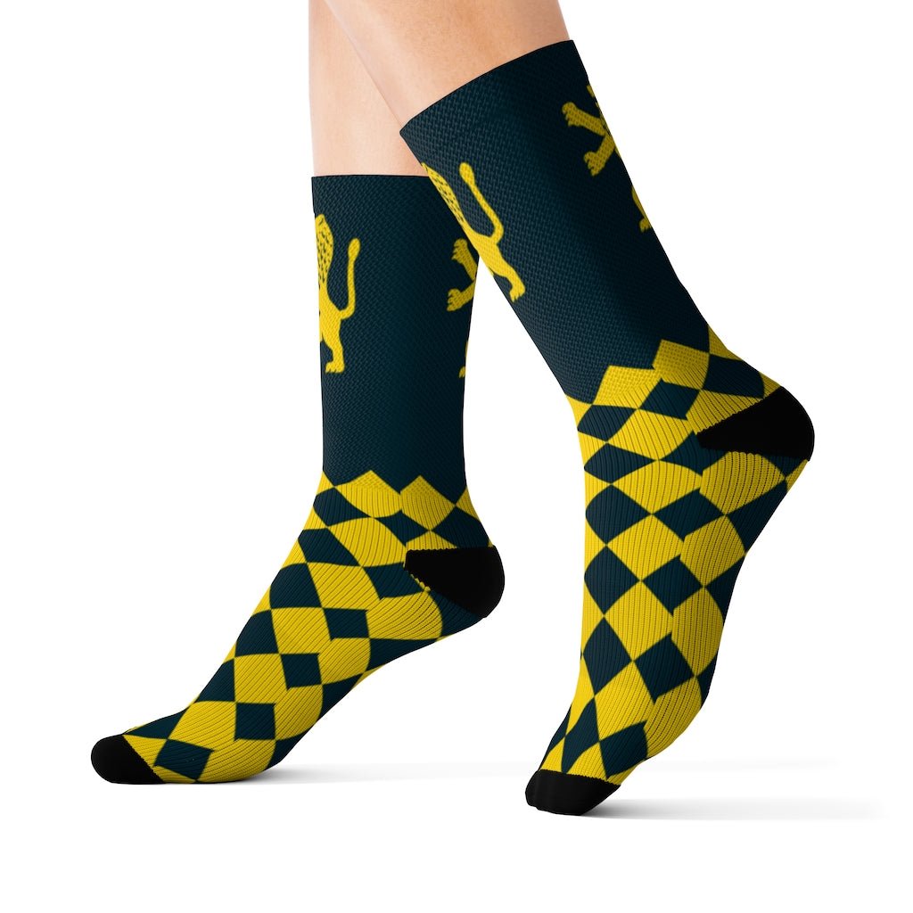 Lion of Jerusalem Socks - Shop Israel